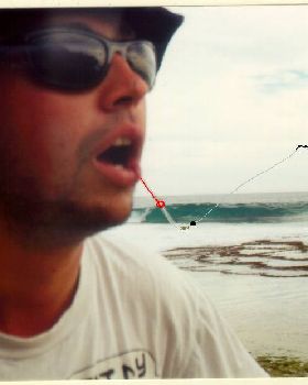 caught a steve wonder