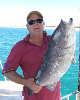 Rankin Cod Exmouth