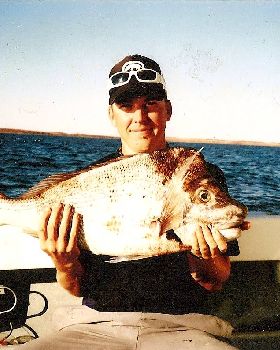 some nice snapper caught on our shark bay trip