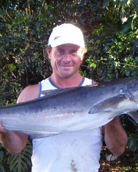 cobia
