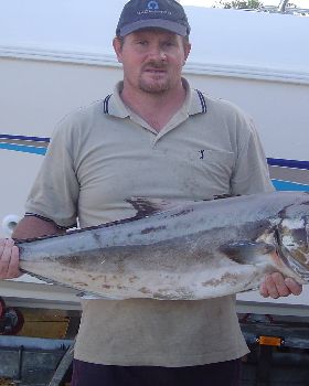 30 Pound samson fish
