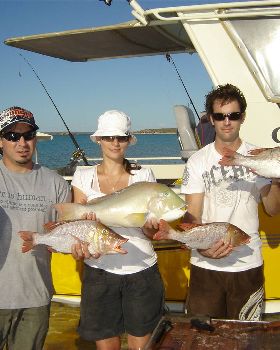 nice days catch