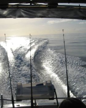 day and night fishing of bunno 