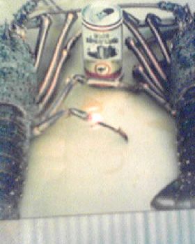 Crays...........circa 85