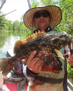 Bigger the bait, Bigger the Fish