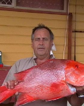 15.5 kg red 