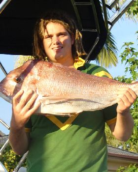 7kg snapper / 91cm