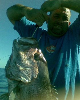 10 Kg Dhufish