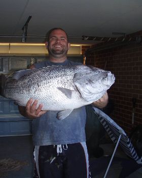 10 Kg Dhufish