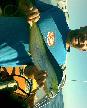 Maih Maih (Dolphin Fish)