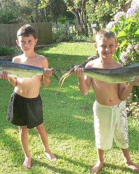 FIRST TIME OUTSIDE - DOLPHIN FISH