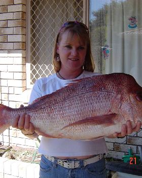 6.5kg Snapper