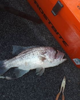 Fishing