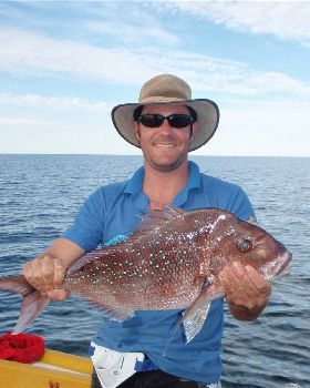shark bay