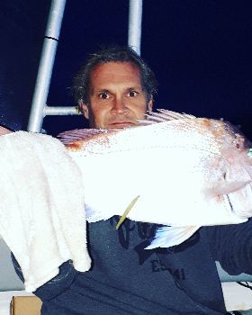 Sunset Snapper