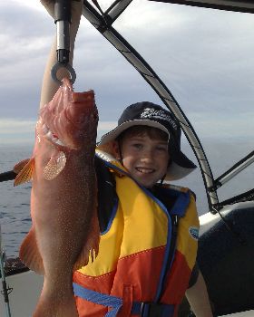 Reef Fishing Off Cairns