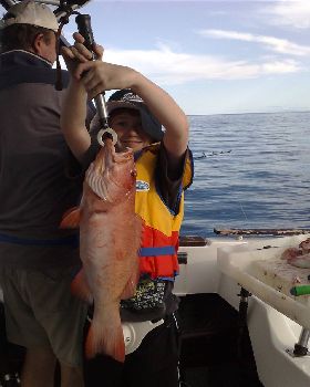 Reef Fishing Off Cairns