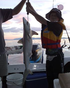 Reef Fishing Off Cairns
