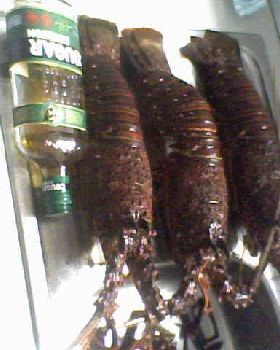 crays