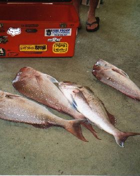 BAY FISHING AT ITS BEST