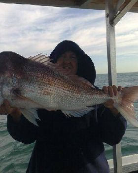 Snapper Fishing 2008