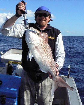 Snapper on soft plastics