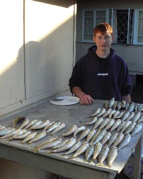 A few good whitting