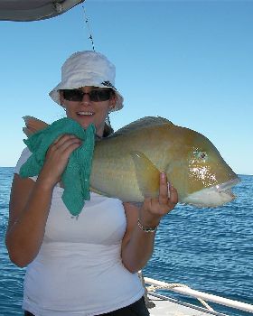 Mels first Baldchin groper