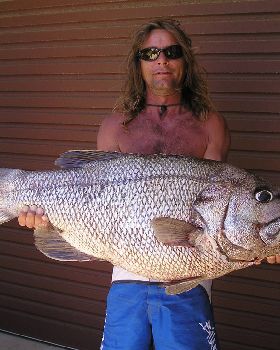 how about a real dhu   