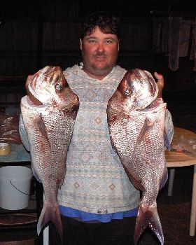 Snapper on Soft Plastics