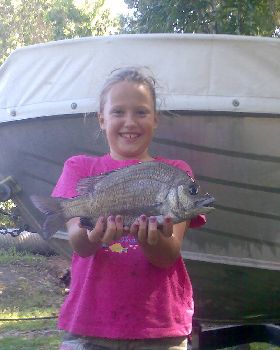 nice bream cooktown