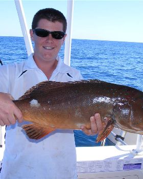 Coral Trout Mitchell Onslow WA. Thanks Uncle John