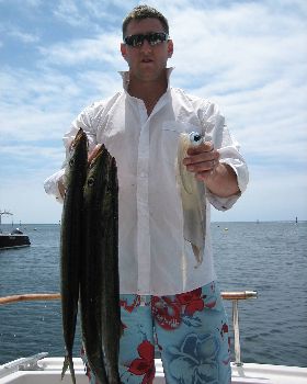 Feed of Pike and Squid Rotto