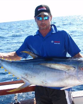 yellow fin tuna