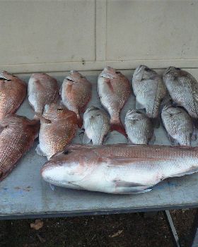All on soft plastics