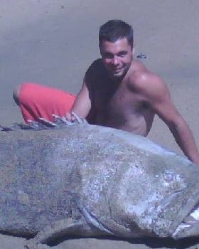 big Fish