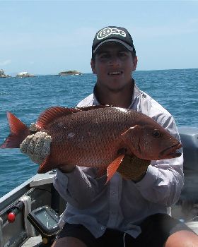Catch and Release