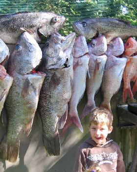 Miller very happy with a couple of 14kg Dhuies 