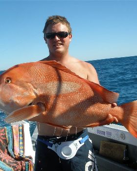 nice reds gnaraloo wa 