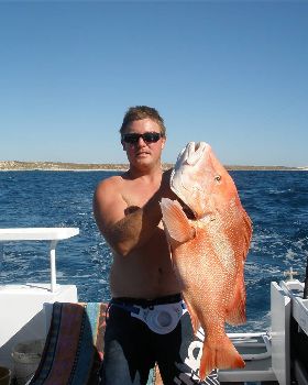 nice reds gnaraloo wa 