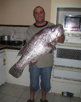 13k dhue caught at ocean reef wa