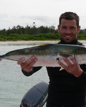 Spearfishing for Kingies on NSW South Coast