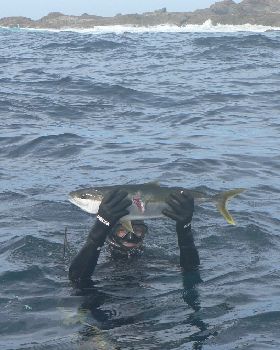 Fishing