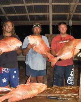 more nice reds gnaraloo 08 