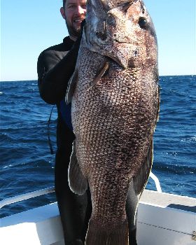 22kg dhu off rotto