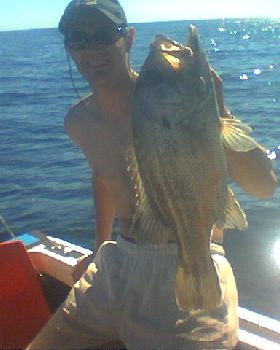 nice fish