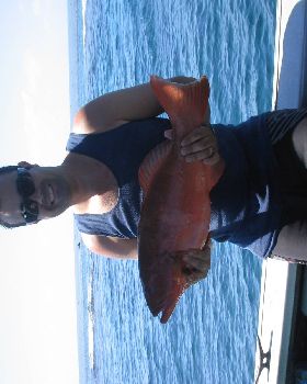 Fishing