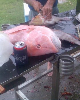 Fishing
