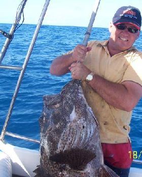 bolt reef cod 
