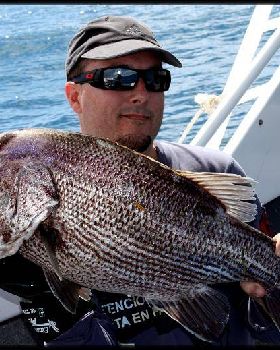 9kg dhuie caught on a fillet of rainbow trout!.  
